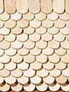 Fishscale Shingle 1000pc/pkg