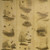 Natures Wood's wall paneling.