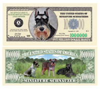 MINI SCHNAUZER MILLION DOLLAR BILL