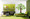 Tree wall decals
