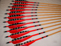 Pro Series, Red Crown, Red and Traditional Barred 5" Parabolic Feathers