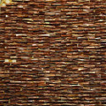 Fin Relief Shell Mosaic-Copper