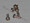 #2 Phillips Nickel Round Head Screw