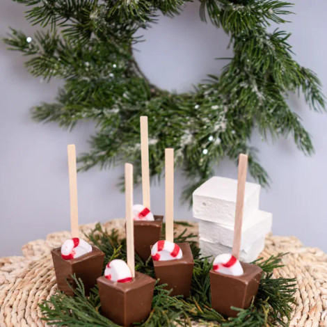 Hot Chocolate on a Stick - Peppermint