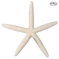 South Beach Crafts 10 White Finger Starfish 6" to 8" Nautical Home Decor