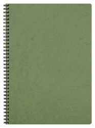 Clairefontaine Basic Wirebound Notebook - Ruled w/ margin 50 sheets - 8 1/4 x 11 3/4 - Green