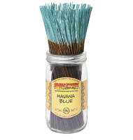Wild Berry Havana Blue Incense Sticks, 100 Count Hand-Dipped Aromatic Incense