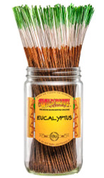 Wild Berry Eucalyptus Incense Sticks, 100 Count Hand-Dipped Aromatic Incense