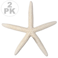 South Beach Crafts 2 XL White Finger Starfish 10" to 14" Nautical Home Decor