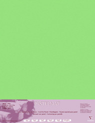 Clairefontaine PastelMat 70 x 100 cm Sheets, 360 g, Light Green, 5 Sheets