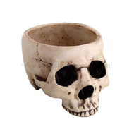 6.75 Inch Ceramic Open Skeleton Skull Figurine Medium Bowl, Beige