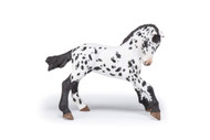 Papo Black Appaloosa Foal Figure, Multicolor, oner Size