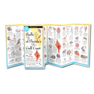 Earth Sky + Water FoldingGuide Shells and Beach Life of Floridas Gulf Coast - Foldable Laminated Nature Identification Guide