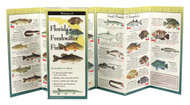 Earth Sky + Water FoldingGuide Florida Freshwater Fishes - Foldable Laminated Nature Identification Guide