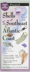 Earth Sky + Water FoldingGuide Shells of the Southeast Atlantic Coast - Foldable Laminated Nature Identification Guide