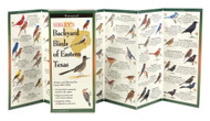 Earth Sky + Water FoldingGuide Sibley's Backyard Birds of Eastern Texas - Foldable Laminated Nature Identification Guide