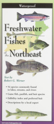 Earth Sky + Water FoldingGuide Freshwater Fishes of New England & Adirondacks - Foldable Laminated Nature Identification Guide