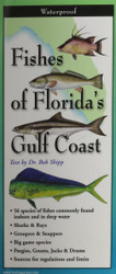 Earth Sky + Water FoldingGuide Fishes of the Florida Gulf Coast - Foldable Laminated Nature Identification Guide