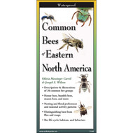 Earth Sky + Water FoldingGuide Common Bees of Eastern North America - Foldable Laminated Nature Identification Guide