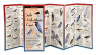 Earth Sky + Water FoldingGuide Birds of the Mid-Atlantic Coast - Foldable Laminated Nature Identification Guide