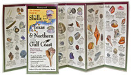 Earth Sky + Water FoldingGuide The Ultimate Guide to Shells of the Texas & Northern Gulf Coast - Foldable Laminated Nature Identification Guide