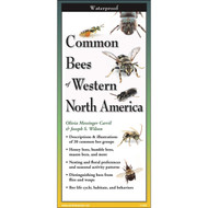 Earth Sky + Water FoldingGuide Common Bees of Western North America - Foldable Laminated Nature Identification Guide