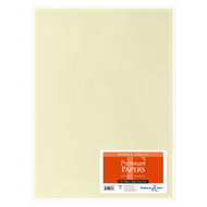 Stillman & Birn Gamma Series - Art Paper - Pack of 5 Sheets - 22 x 30 - 150gsm Ivory Paper