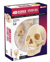 4D Master Human Anatomy Exploded Skull 3D Model/Puzzle