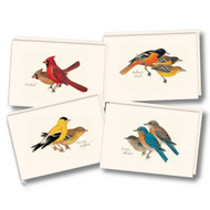 Earth Sky + Water - Petersons Bird Assortment I Notecard Se t- 8 Blank Cards with Envelopes (2 each of 4 styles)