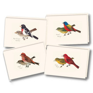 Earth Sky + Water - Petersons Bird Assortment II Notecard Set - 8 Blank Cards with Envelopes (2 each of 4 styles)