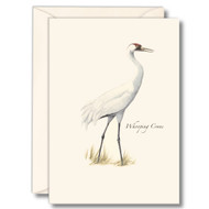 Earth Sky + Water - Whooping Crane Notecard Set - 8 Blank Cards with Envelopes