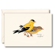 Earth Sky + Water - American Goldfinch Notecard Set - 8 Blank Cards with Envelopes