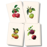 Earth Sky + Water - Heirloom Apple - 8 Blank Cards with Envelopes (2 each of 4 styles)