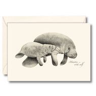 Earth Sky + Water - Manatee Notecard Set - 8 Blank Cards with Envelopes