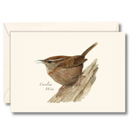 Earth Sky + Water - Carolina Wren Notecard Set - 8 Blank Cards with Envelopes