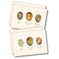 Earth Sky + Water - Bird Egg Assortment II Notecard Set - 8 Blank Cards with Envelopes (4 each of 2 styles)