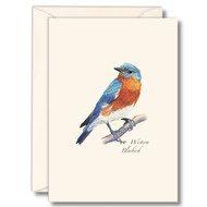Earth Sky + Water - Western Bluebird Notecard Set - 8 Blank Cards with Envelopes