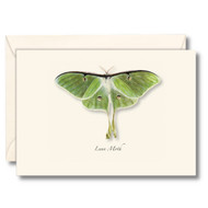 Earth Sky + Water - Luna Moth Notecard Set - 8 Blank Cards with Envelopes