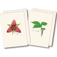 Earth Sky + Water - Wildflower Assortment II Notecard Set - 8 Blank Cards with Envelopes (4 each of 2 styles)