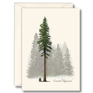 Earth Sky + Water - Coastal Redwood Notecard Set - 8 Blank Cards with Envelopes