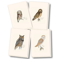 Earth Sky + Water - Sibley Owl Assortment Notecard Set - 8 Blank Cards with Envelopes (2 Each of 4 Styles)