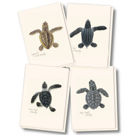 Earth Sky + Water - Sea Turtle Hatchling Assortment Notecard Set - 8 Blank Cards with Envelopes (2 each of 4 styles)