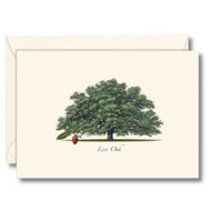 Earth Sky + Water - Live Oak Notecard Set - 8 Blank Cards with Envelopes