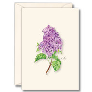 Earth Sky + Water - Lilac Notecard Set - 8 Blank Cards with Envelopes