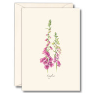 Earth Sky + Water - Foxgloves Boxed Notes