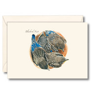 Earth Sky + Water - Bluebird Nest Notecard Set - 8 Blank Cards with Envelopes