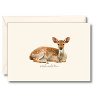 Earth Sky + Water - White-tailed Deer Notecard Set - 8 Blank Cards with Envelopes