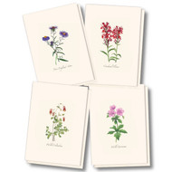 Earth Sky + Water - Meadow Wildflower Assortment Notecard Set - 8 Blank Cards with Envelopes (2 each of 4 styles)