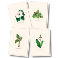 Earth Sky + Water - Woodland Wildflower Assortment Notecard Set - 8 Blank Cards with Envelopes (2 each of 4 styles)