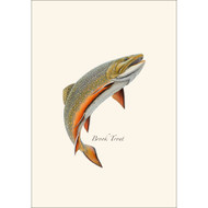 Earth Sky + Water - Brook Trout Notecard Set - 8 Blank Cards with Envelopes